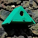 Parrots'village *
