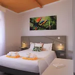 Parrots'village *