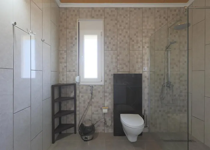 Parrots'village Rabo de Peixe