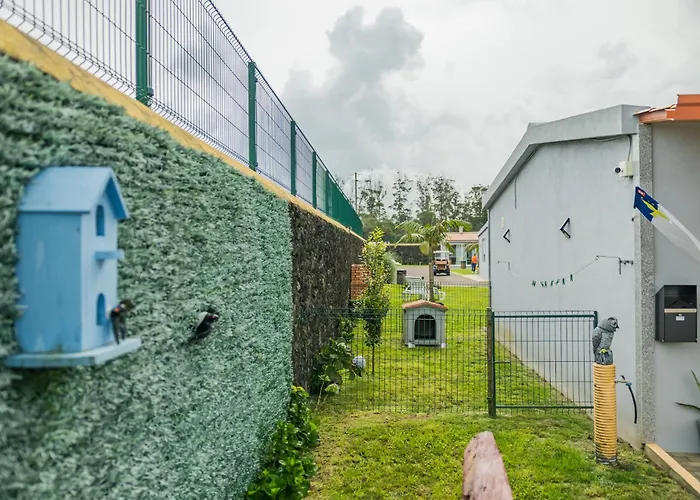 Parrots'village * Rabo de Peixe