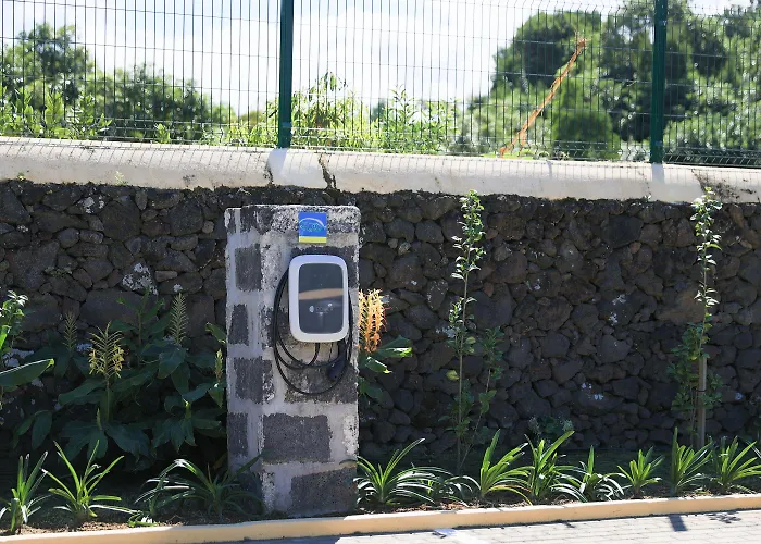 Parrots'village База отдыха