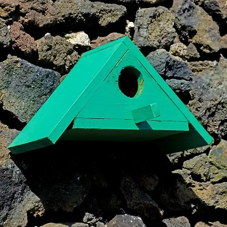 Parrots'village *