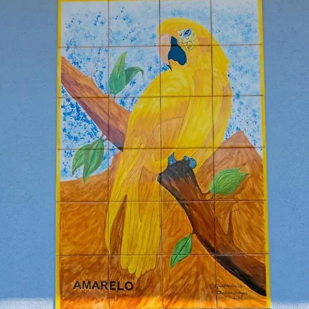 Parrots'village 假日公园 Rabo de Peixe