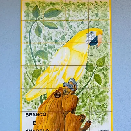 Parrots'village * Rabo de Peixe