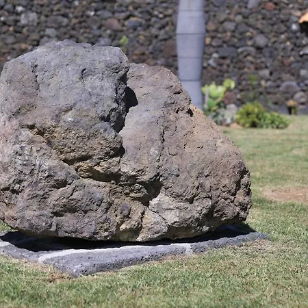 Parrots'village Aldeamento Turístico *