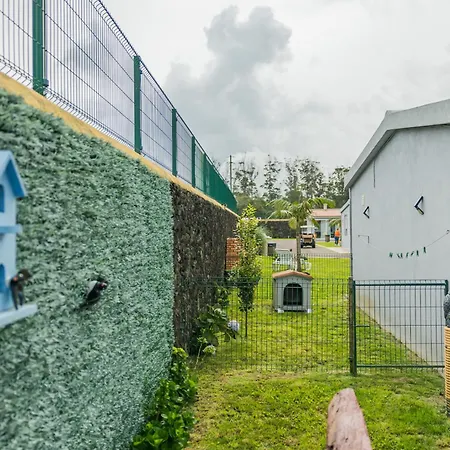 Parrots'village * Rabo de Peixe