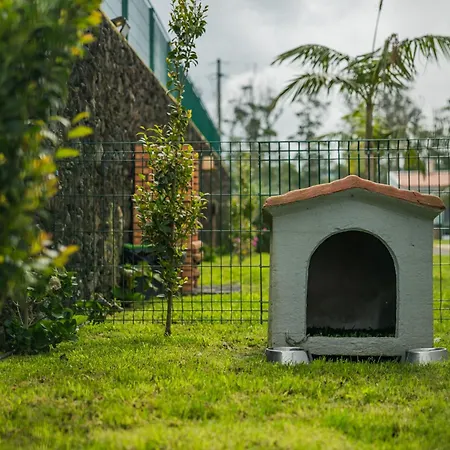 Üdülőpark Parrots'village