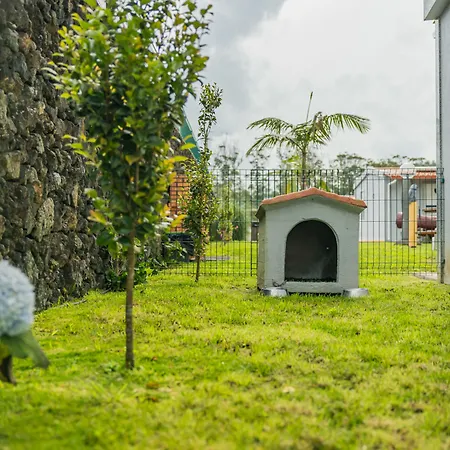 Üdülőpark Parrots'village Rabo de Peixe