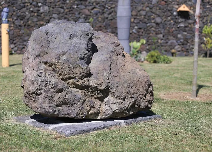 Parrots'village ホリデーパーク *