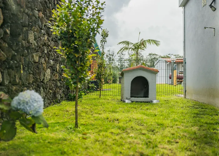 ホリデーパーク Parrots'village Rabo de Peixe